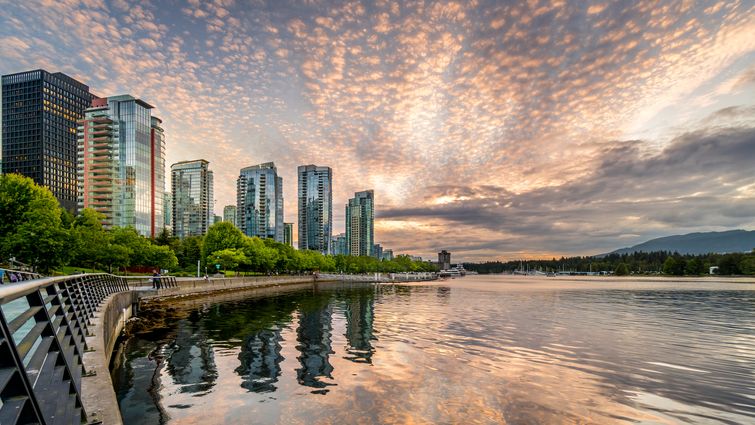 Coal Harbour is a great location for either families, singles, or young couples new to real estate.