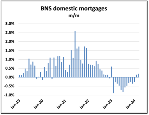         Bar chart titled "BNS domestic mortgages m/m" showing monthly percentage changes from January 2019 to January 2024, with notable spikes and declines. This Mortgage Dynamics Update highlights key trends in the housing market over the specified period.